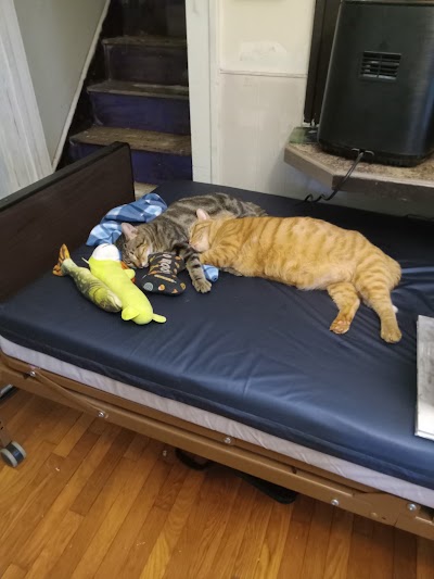 Boonslick Animal Hospital